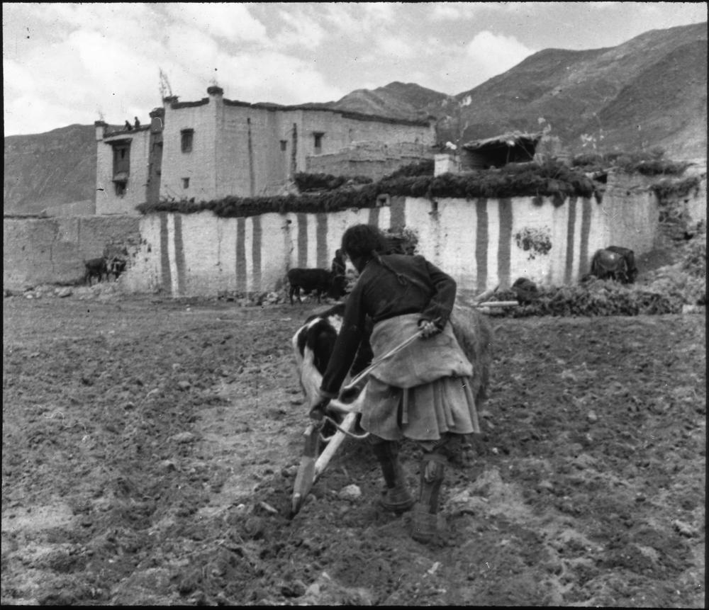 图片[1]-lantern slide (photographic) BM-2015-OA+.709-China Archive